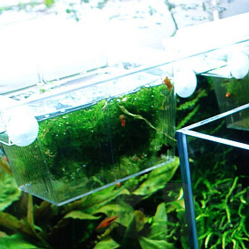 Aquarium Incubator Breeding Box