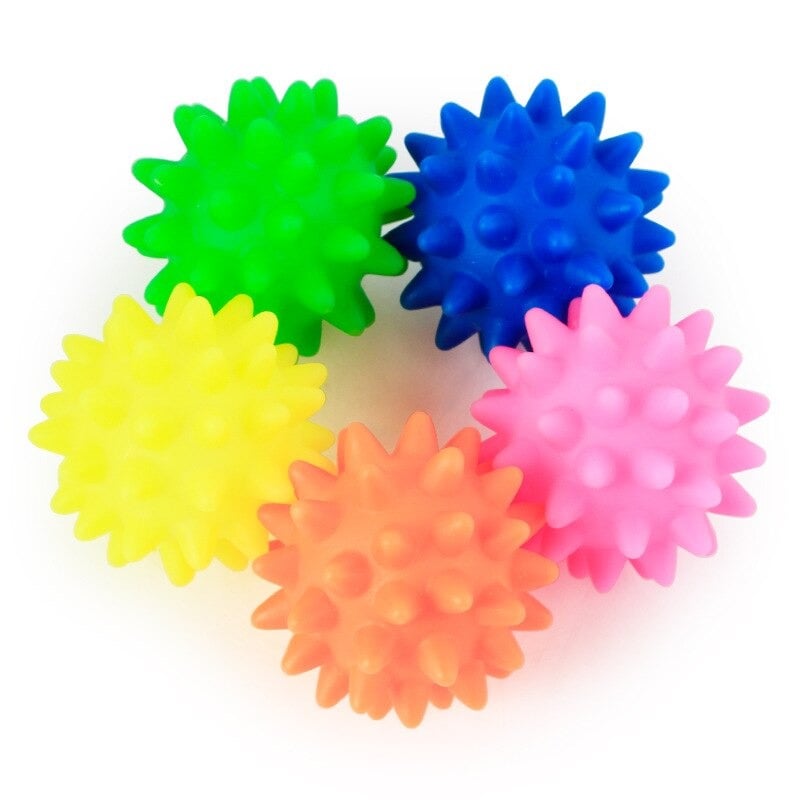 Dog Squeak Toys