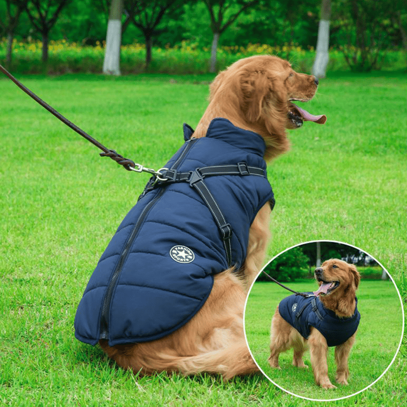 ?Christmas sale-49% Off?Winter Warm Pet Dog Waterproof Jacket With Harness