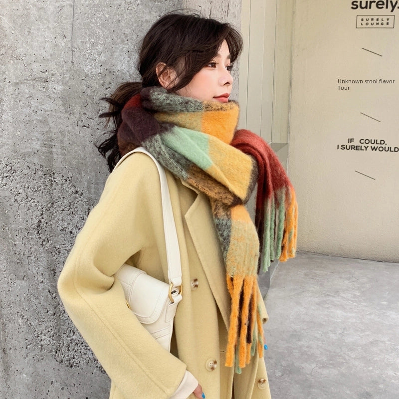 Warm Neck New Autumn And Winter Cashmere Tassel Scarf Women's Warm Thickened Double-Sided Color Matching Extra Large Shawl