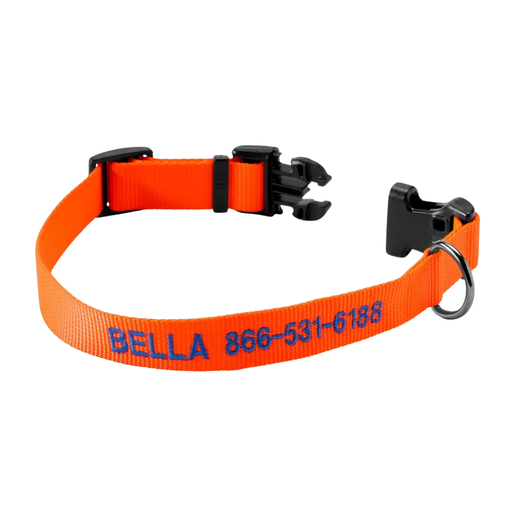 Personalized Side Release Buckle Collar