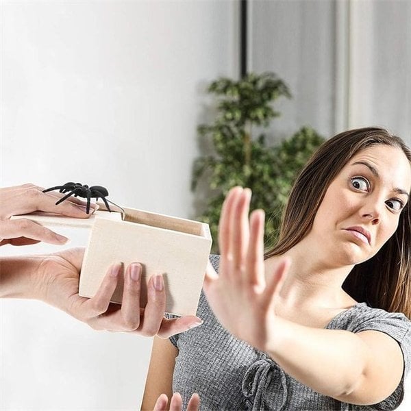 Super Funny Crazy Prank Gift Box Spider Special Gifts for Friends/Family!