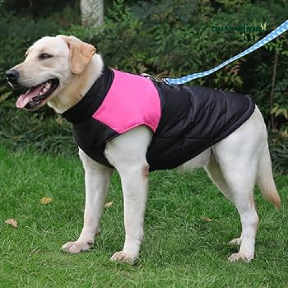 Warm Waterproof Dog Jacket