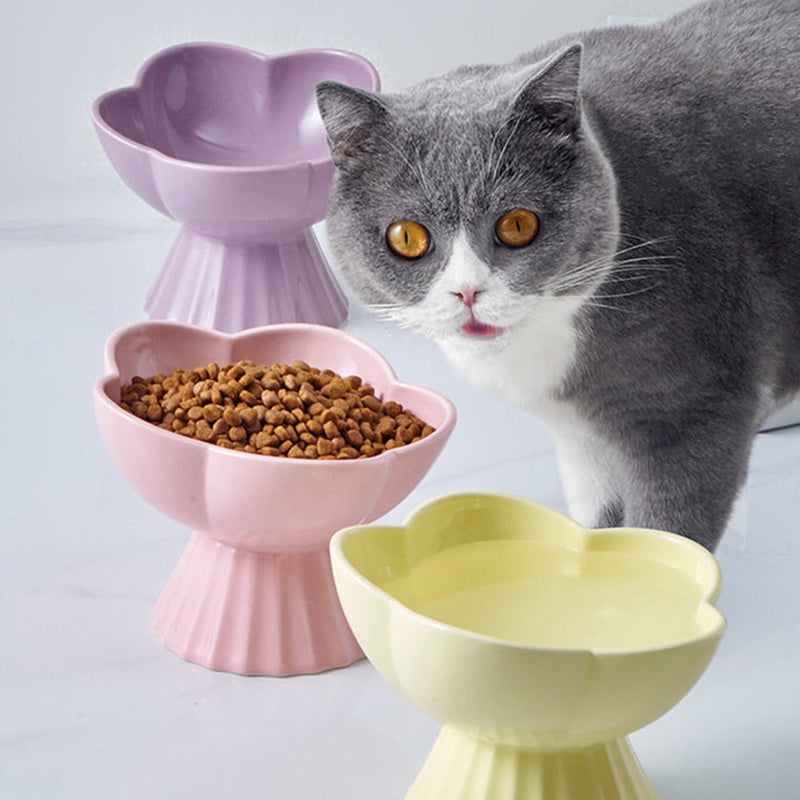 Flower and Shell Cat Bowl