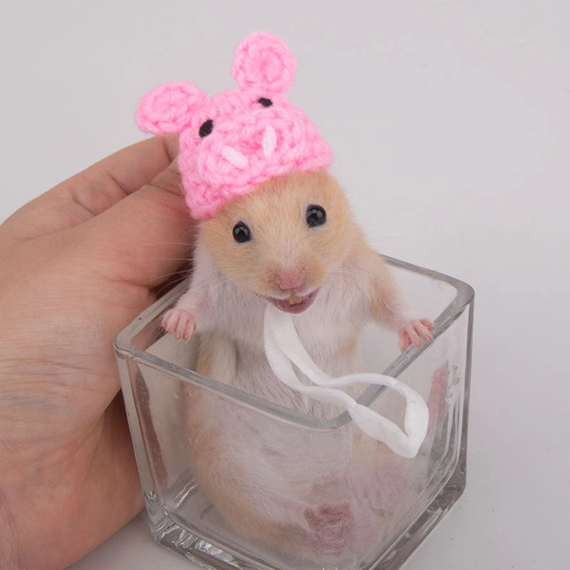 Hamster Hat Parrot Hair Band Photo Small Animal Headdress Handmade Frog Hat Ornaments Hedgehog Headgear Explosions
