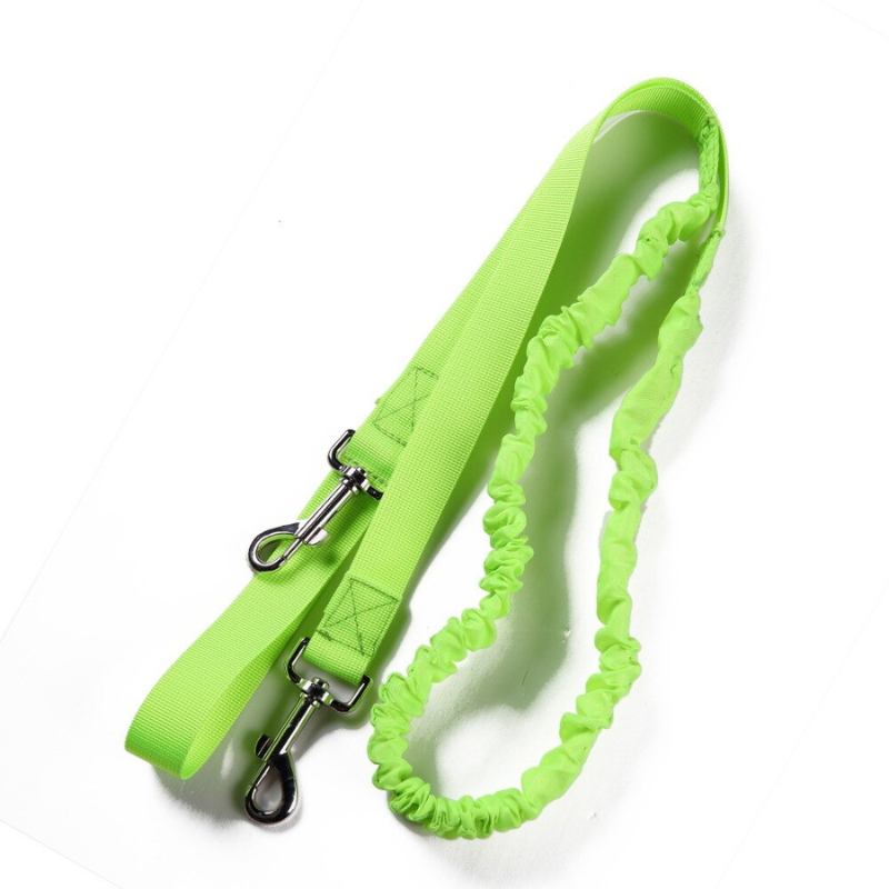 Walking Training Dog Leash Set