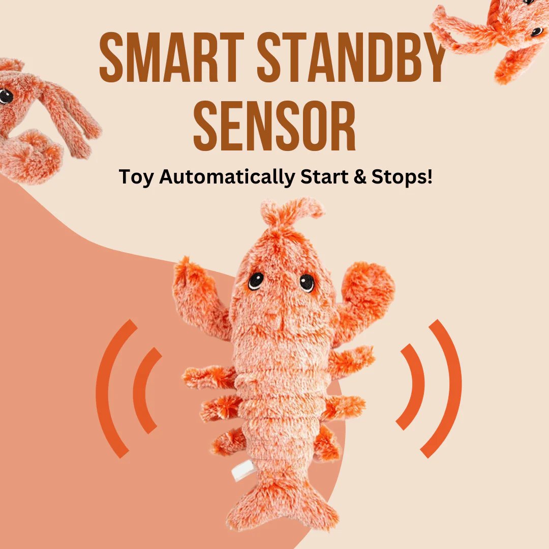 🔥Lobster Interactive Dog Toy