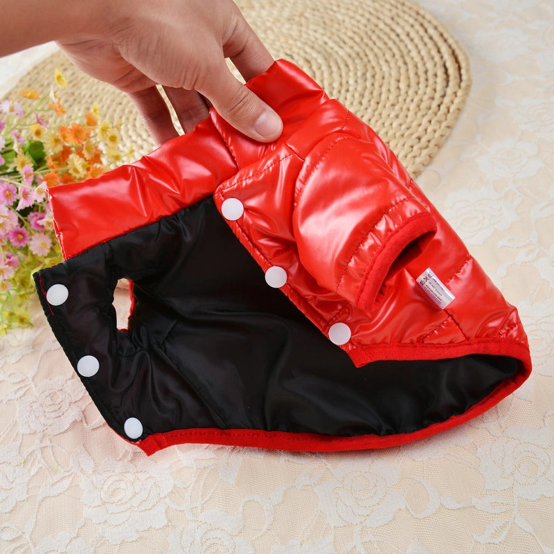 Disposable Cotton-padded Clothes Cat Autumn And Winter Dog Clothes Winter Clothes Small Dog Pet Cotton-padded Jacket New Cotton-padded Clothes Winter Warm