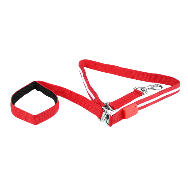 Pet Leash With USB Lighting