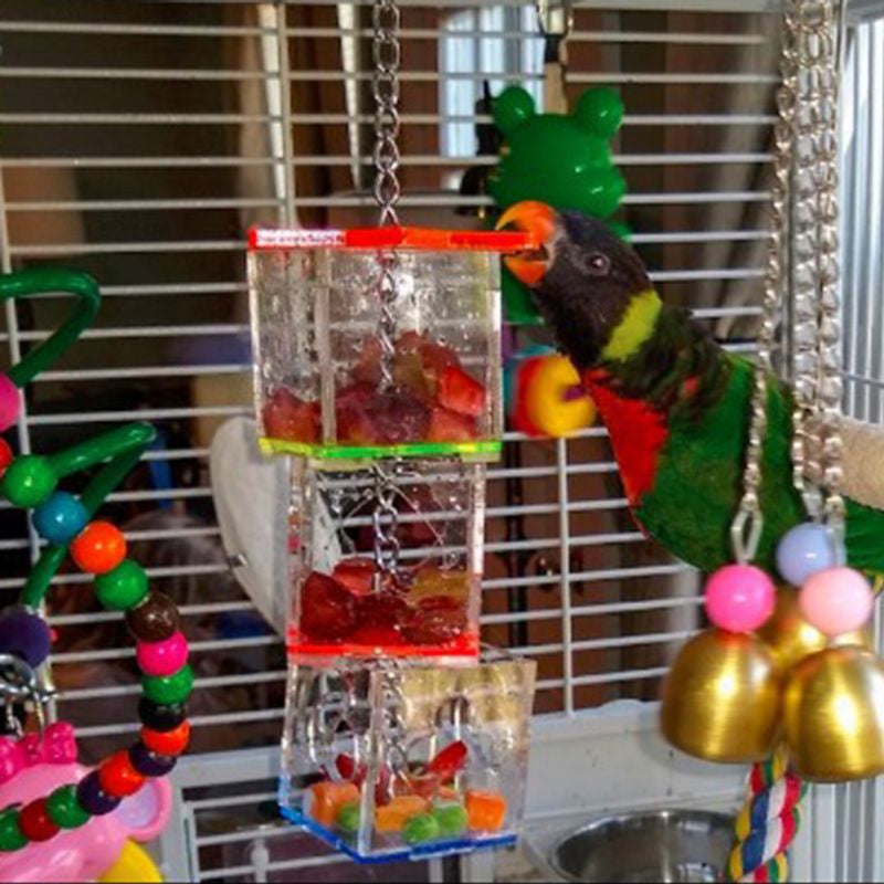 Bird Food Feeding Toy