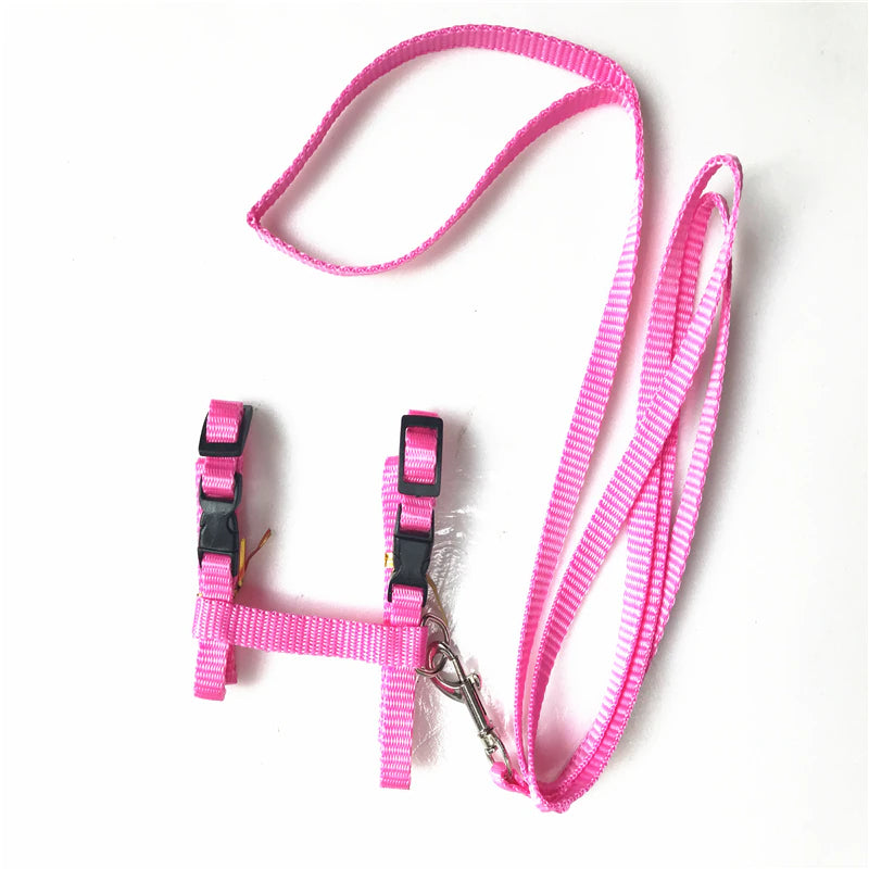 Cat Collar Harness And Leash