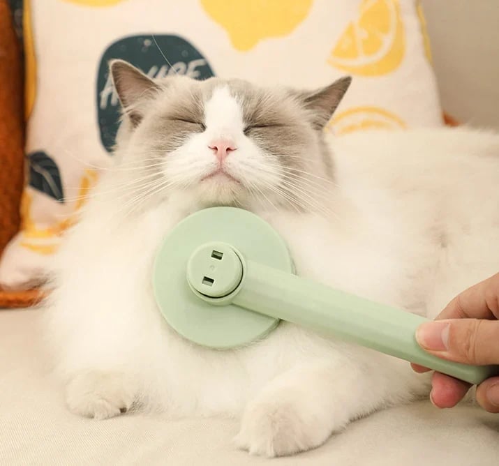 Identityt™ Self-Cleaning Grooming Brush🔥Hot Sale🔥