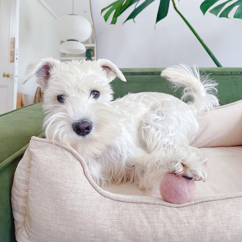 Bed Cover - Square Bread Dog Bed