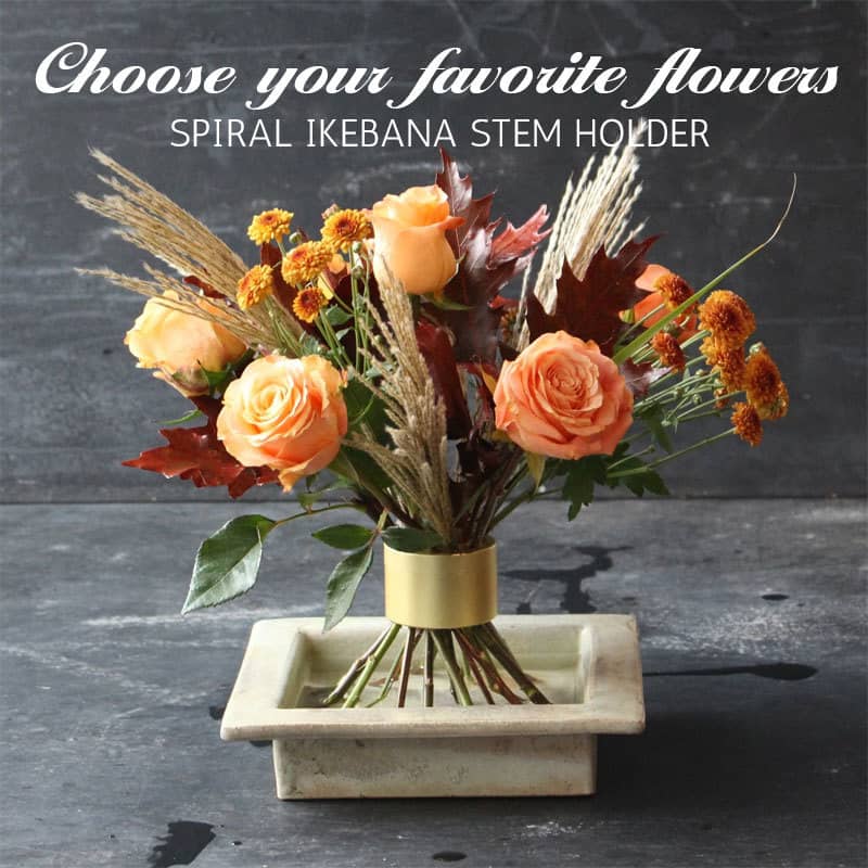 🎁Spiraalvormige Ikebana Stengelhouder
