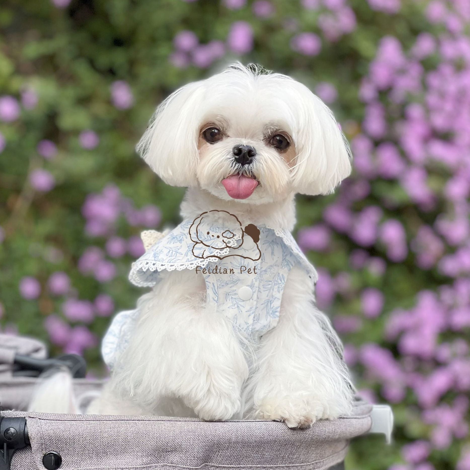 Leaf Printed Dog Dress with Hair Clip