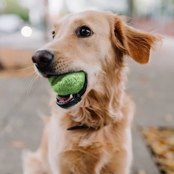 Active Rolling Ball Anti-Anxiety Automatic Moving Ball