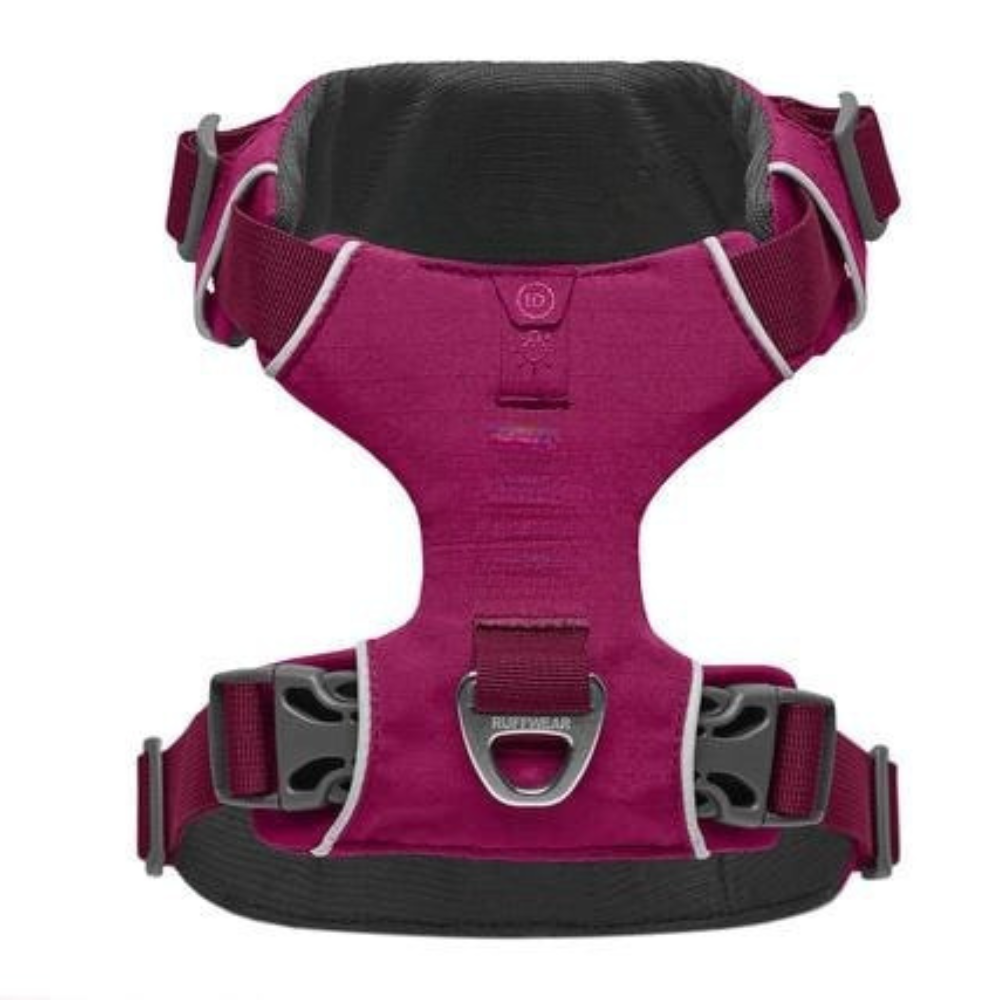Adjustable Adventure Dog Harness For Outdoor Walking