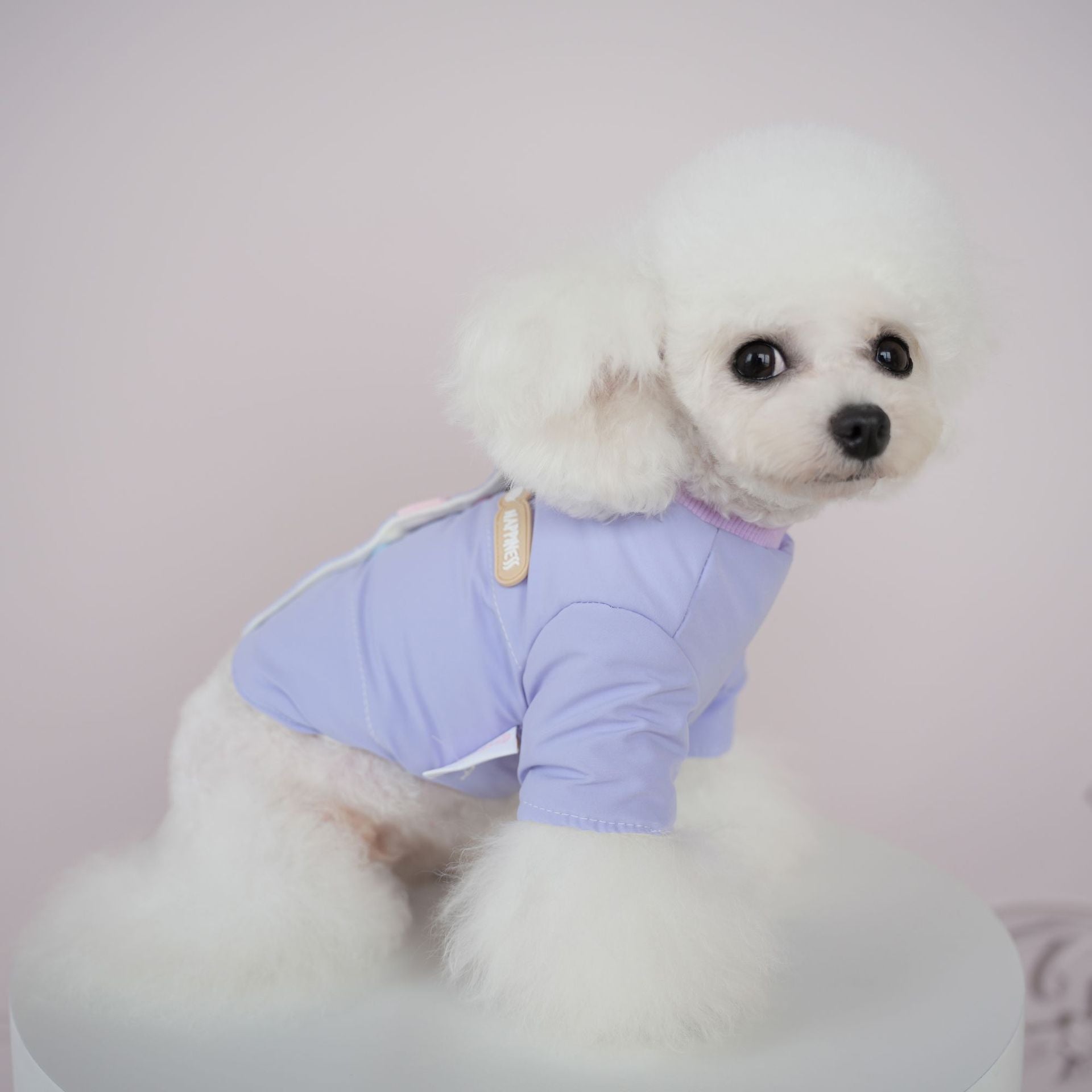 Cute Color Block Buttoned Dog Harness Jacket