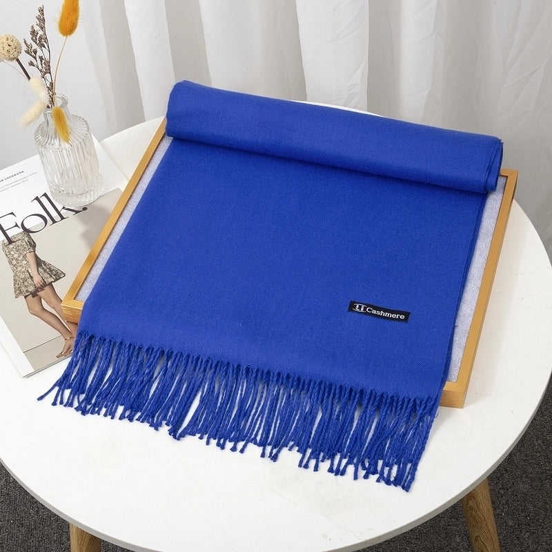 Women's Minimalist Solid Color Imitation Cashmere Tassel Scarf