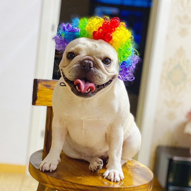 Hip-Hop Funny Novelty Polyester Solid Color Pet Tire