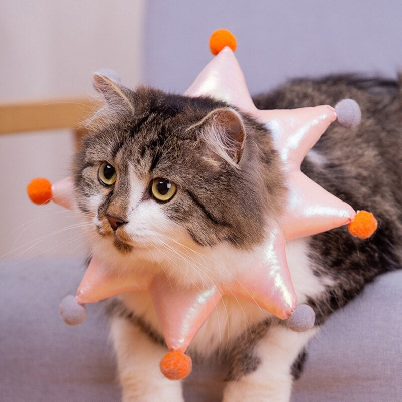 Cat Recovery Collar