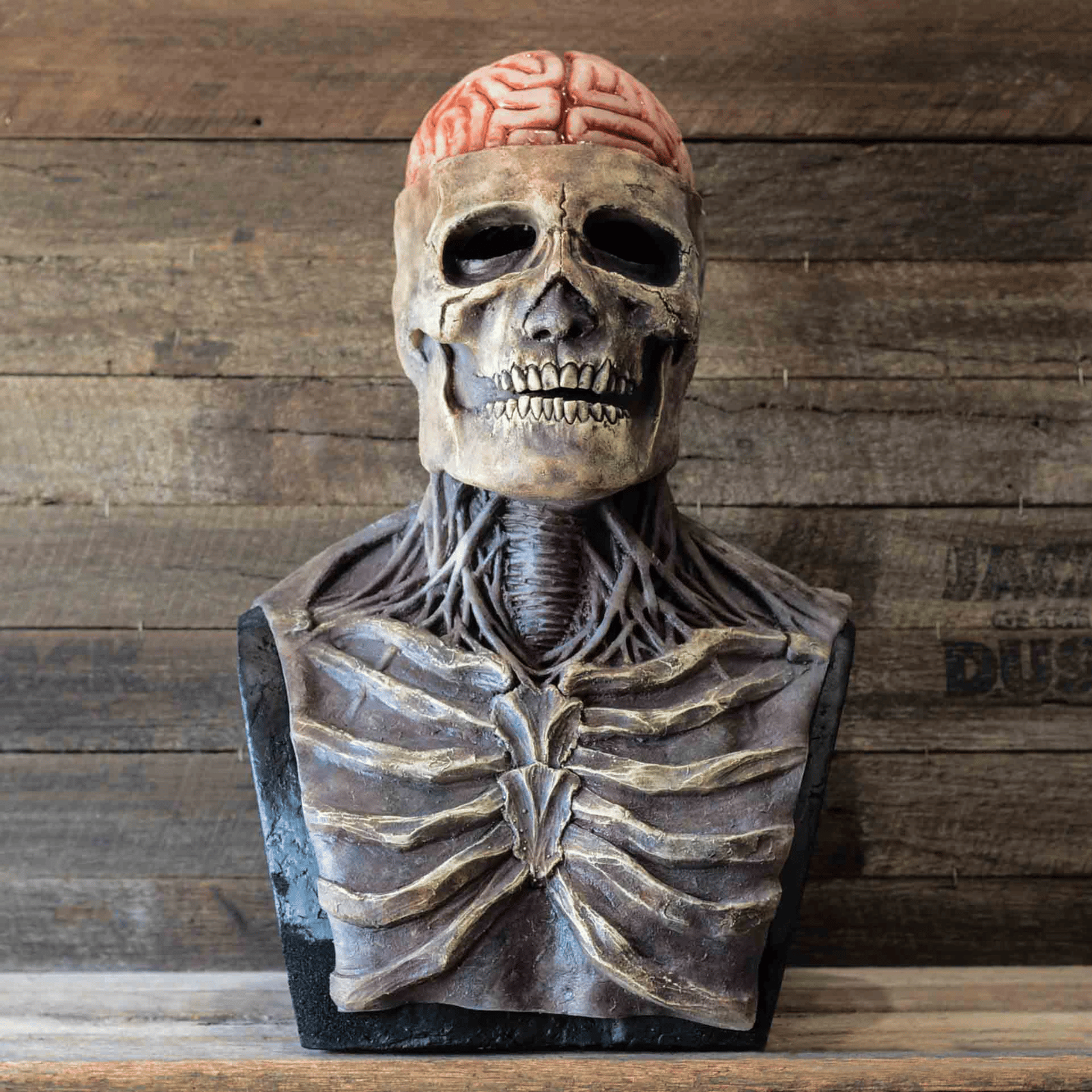 ☠️Full Head Skeleton Halloween Mask ☠️