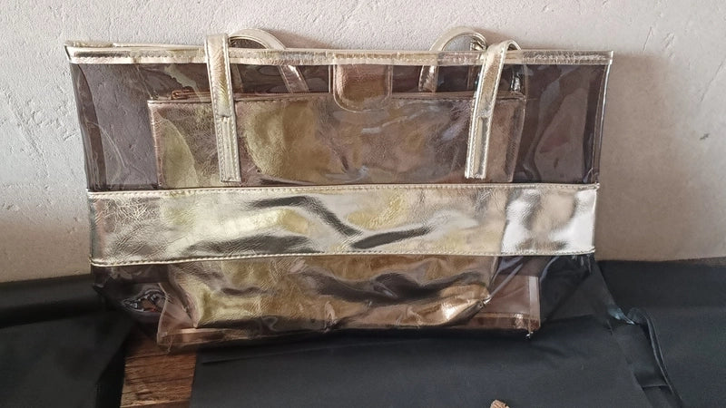 Women's All Seasons Pvc Fashion Jelly Bag