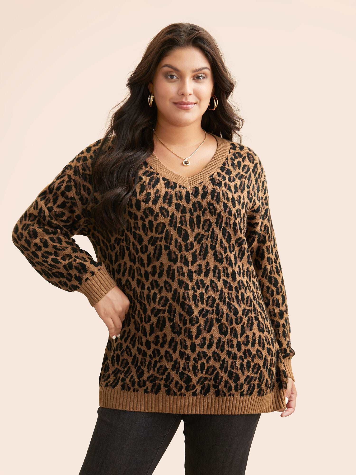 V Neck Leopard Print Jacquard Pullover