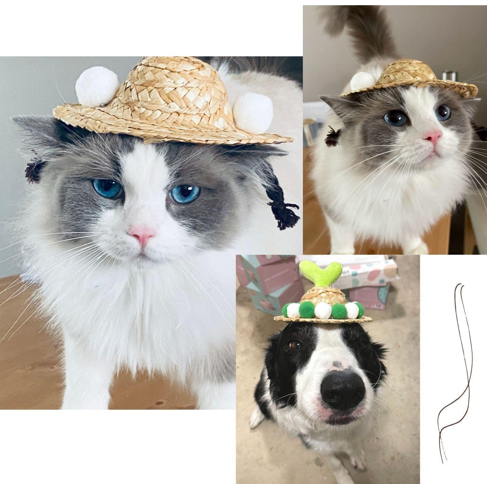 Unique Style Pet Straw Hat