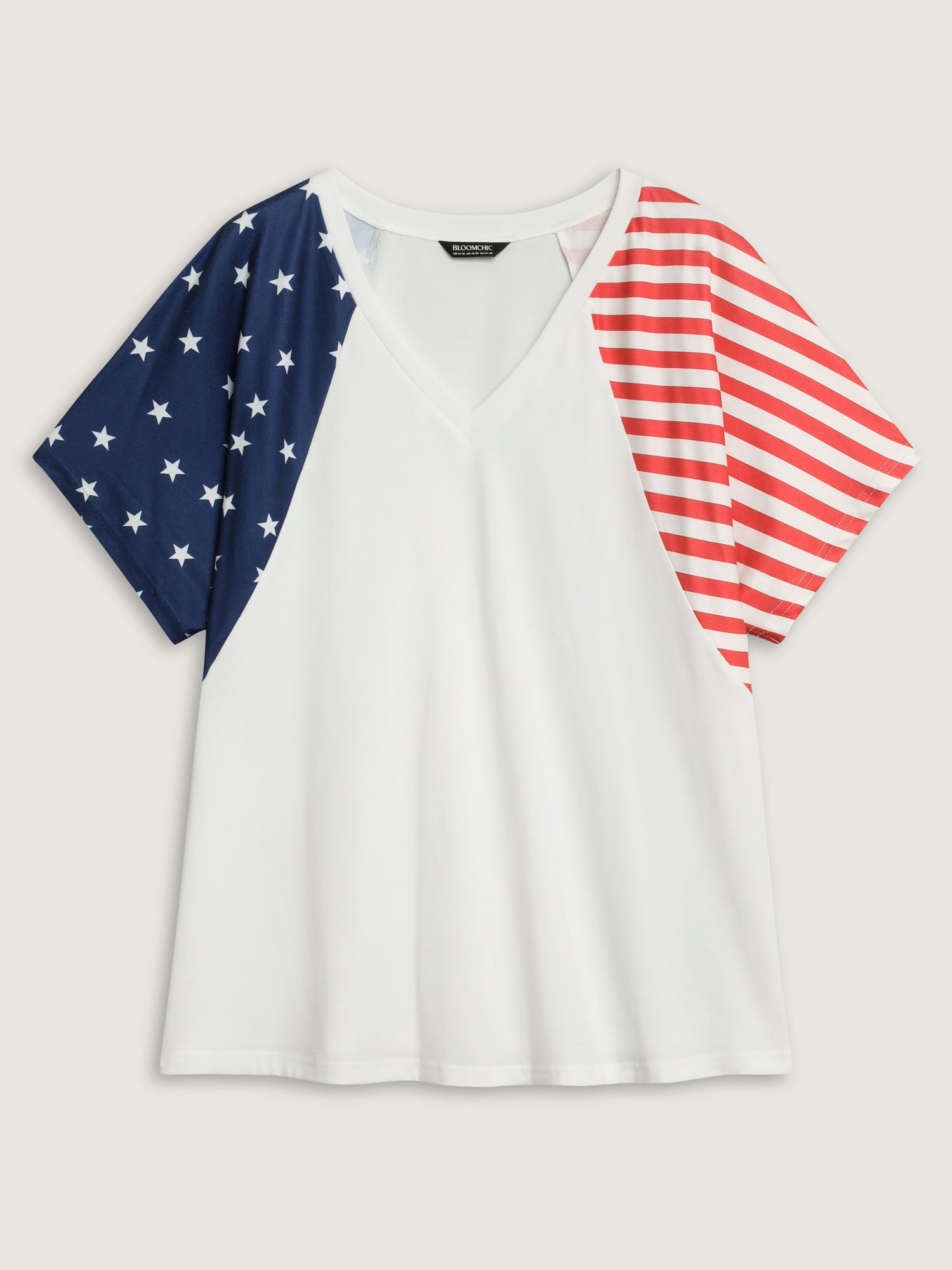 American Flag Print V-Neck T-Shirt