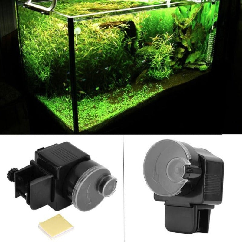 Automatic Fish Feeder
