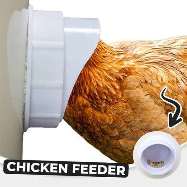 (🔥2024 New Year Hot Sale  30% OFF) DIY Chicken Feeder