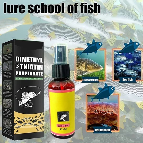 New Natural bait Scent Fish Attractants for Baits - For all types