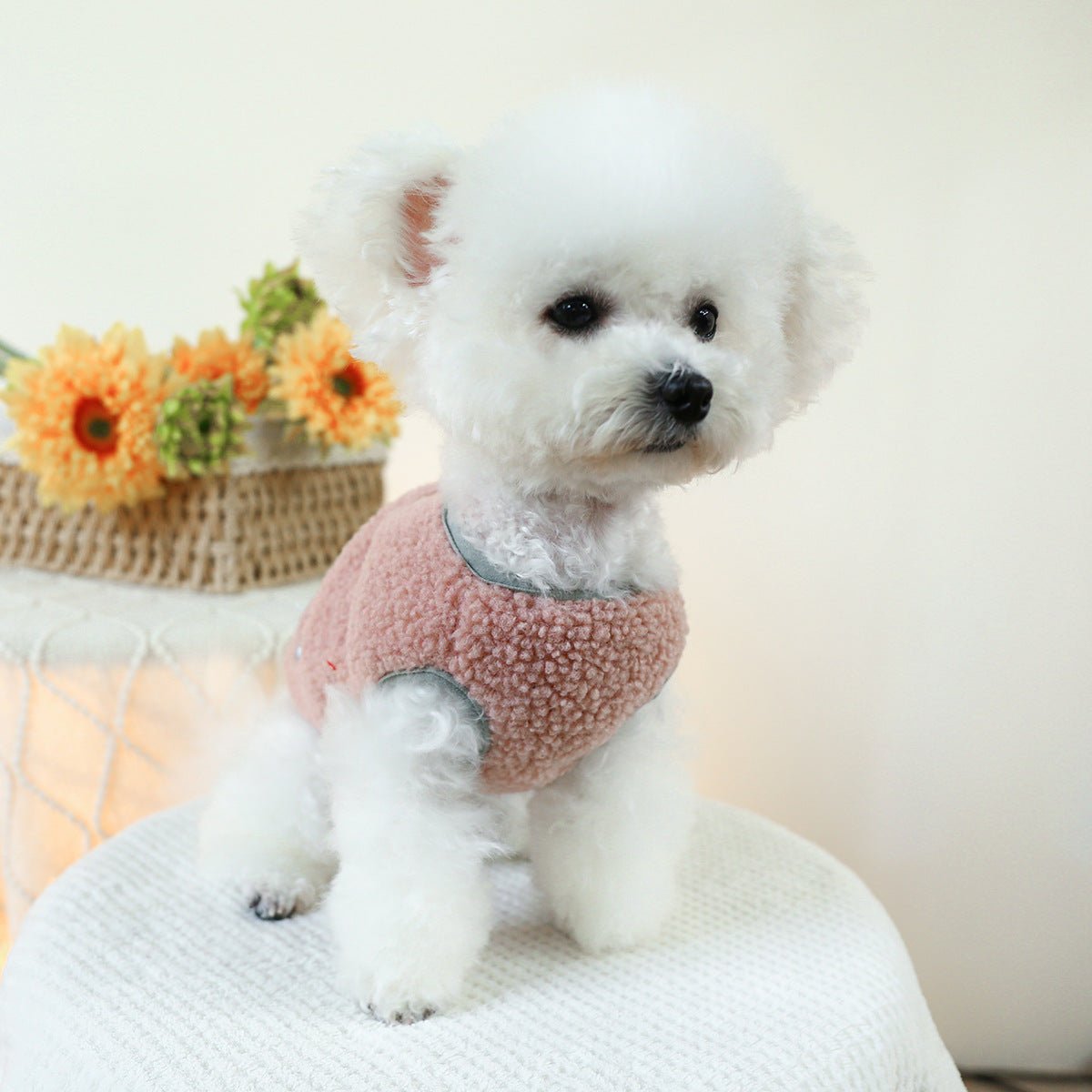 Buttoned Pocket Fleece Dog Jacket Vest