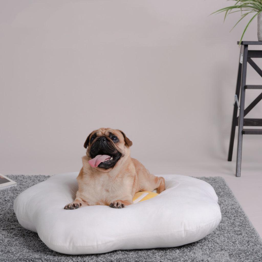 Pet Bed｜Soft Egg Bed｜Cat Bed Dog Bed