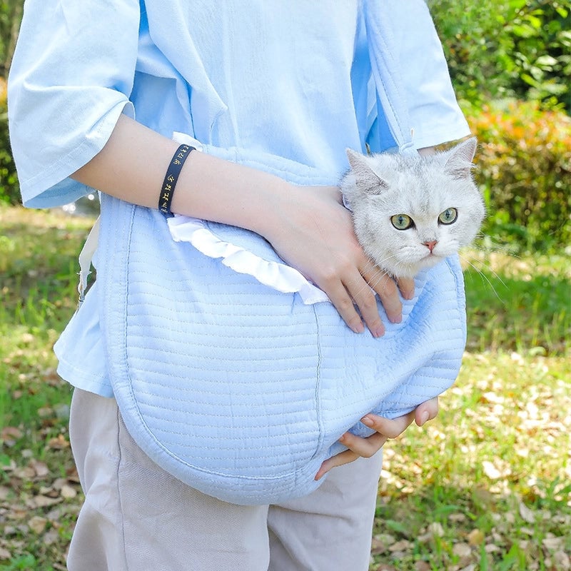 Pet Backpack Spring And Summer Cat Crossbody Backpack Portable Pet Cat Dog Backpack Shoulder Crossbody Teddy Pet Bag