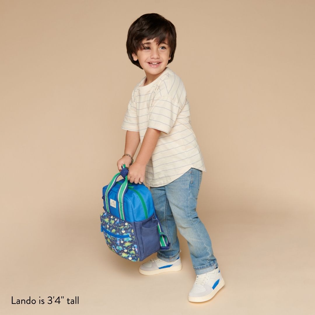 BagToddler Backpack