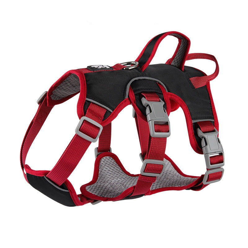 Contrast Color No Pull Dog Harness/Leash For Medium Dog