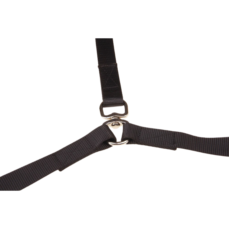 Double Dog Leash
