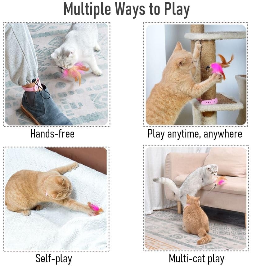 Cat Collar Toy
