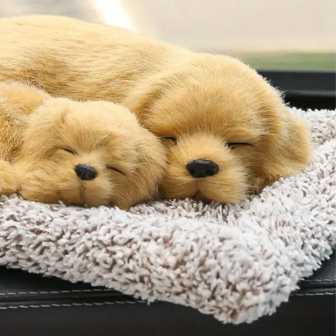 Cute Dog Sleeping With Mom