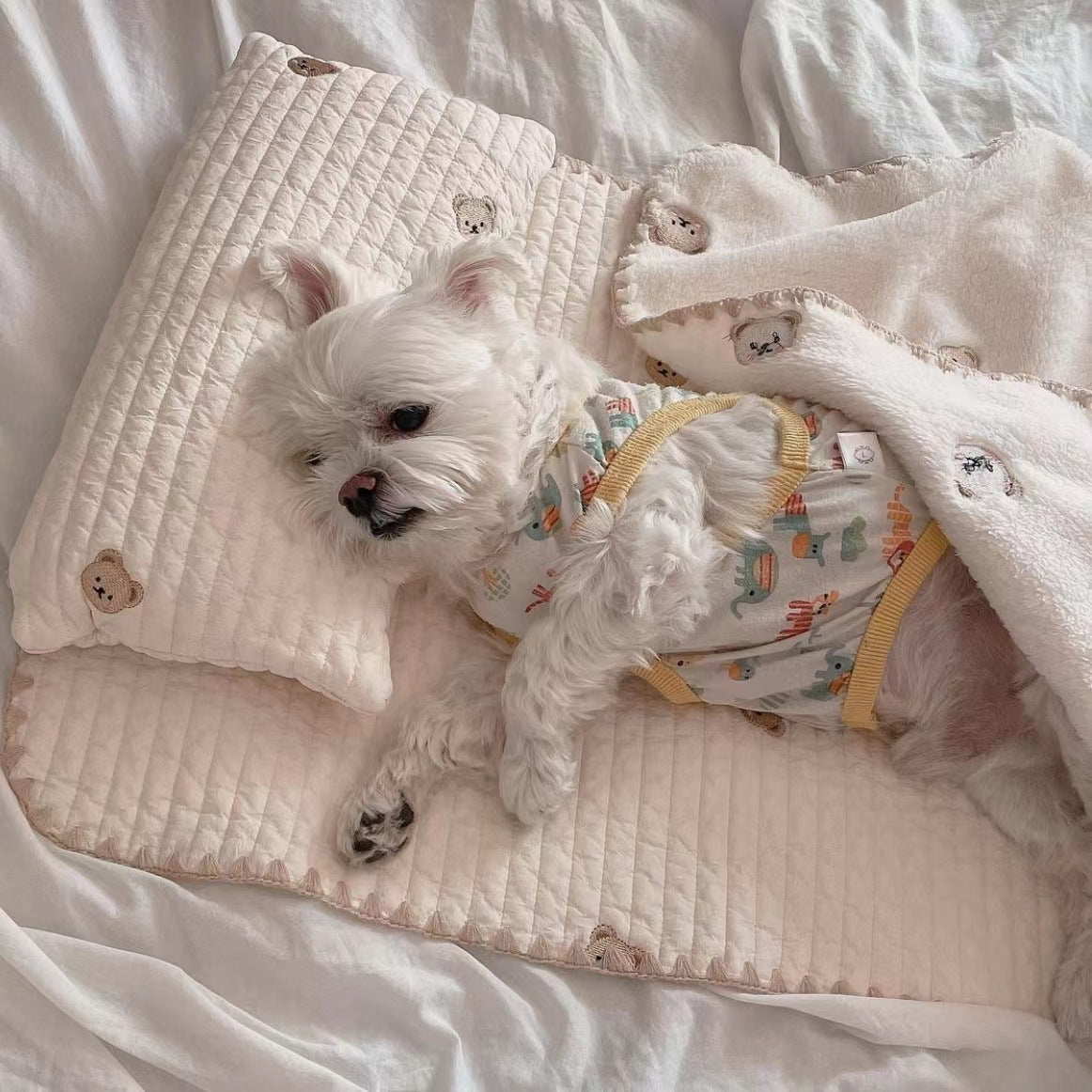 Fashion Square Dog & Cat Bed - Removable & Washable 3-Piece Set