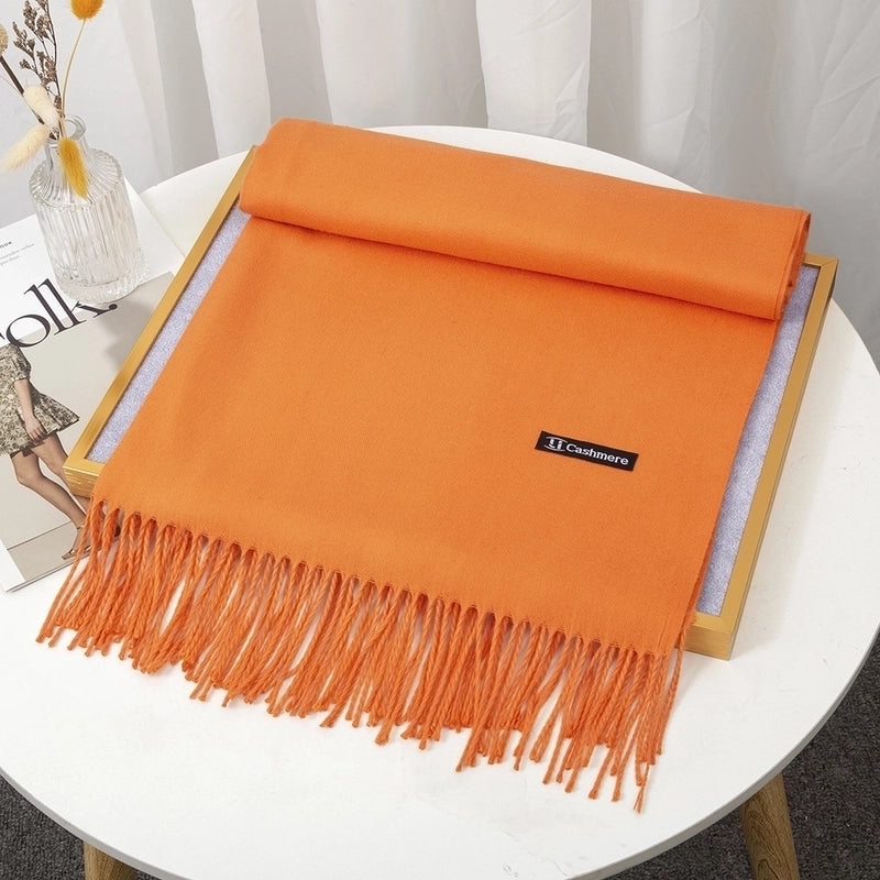 Women's Minimalist Solid Color Imitation Cashmere Tassel Scarf