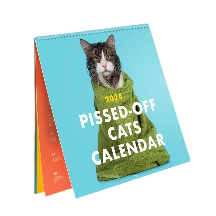 🎄Christmas Sale - 49% OFF😾2024 Pissed-Off Cats Calendar