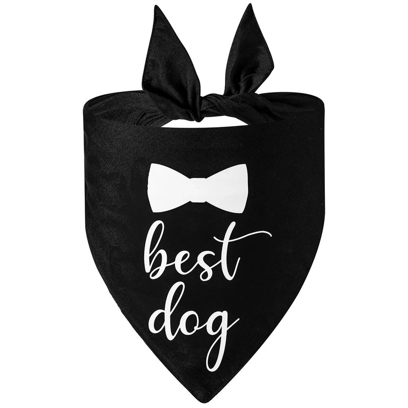 Pet Print Letter Pattern Portable Fashion Triangle Scarf