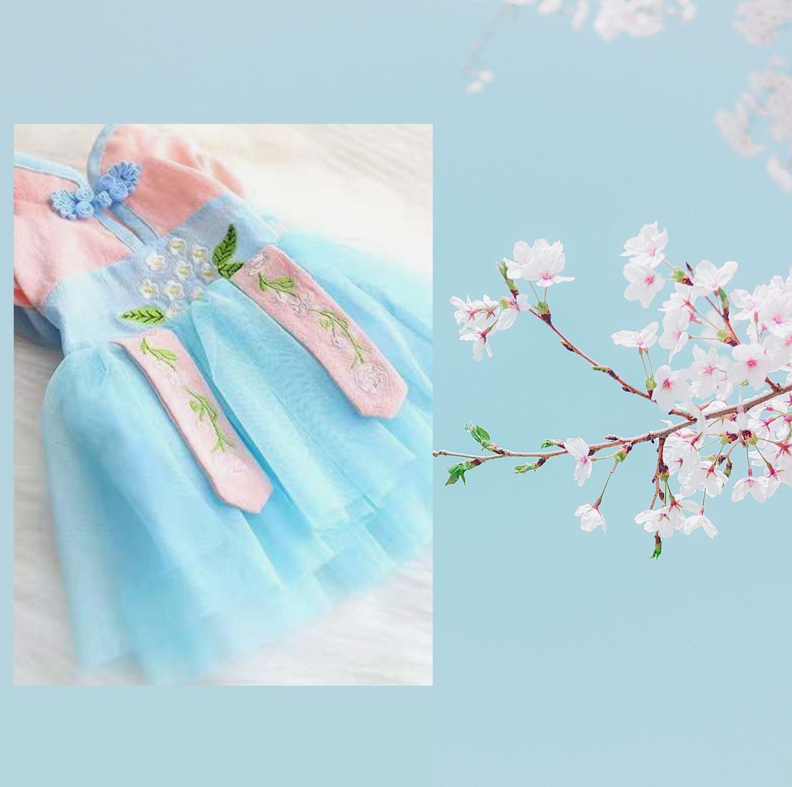 Pet Summer Hanfu