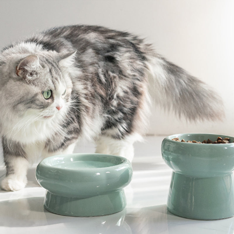 Simple Ceramic Cat Bowl-For Round Faces