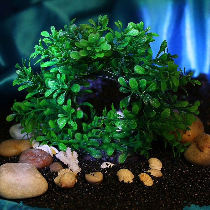 Plastic Water Arched Plant Grass