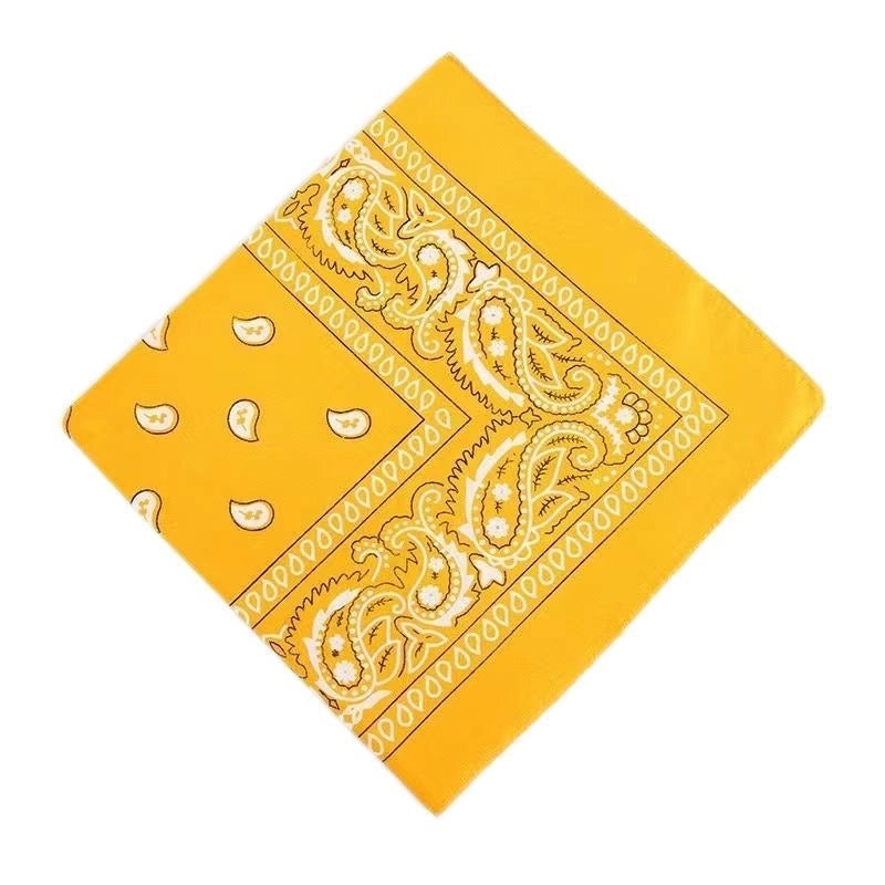 Supply Spot Batch Of Polyester 21g Cashew Flower Scarf Paisley Hip-hop Hip-hop Outdoor Polyester
