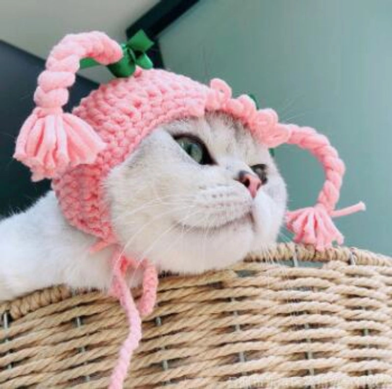 Cute Acrylic Frog Patchwork Pet Hat